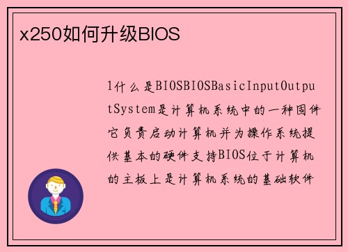 x250如何升级BIOS