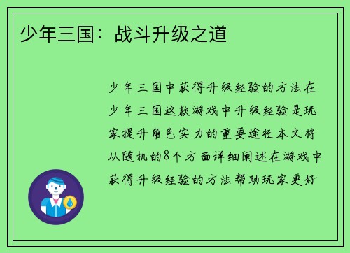 少年三国：战斗升级之道