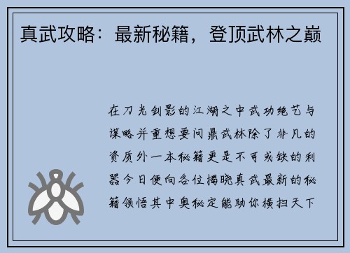 真武攻略：最新秘籍，登顶武林之巅